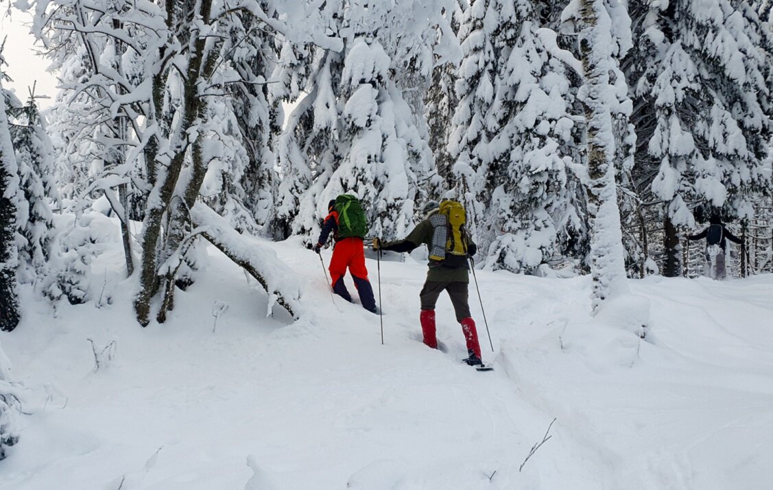 En onsdagsmorgen tidlig januar møttes vi på parkeringen ved Linderudkollen. Avisene advarte om fulle skiløyper så vi ville gi trugene og den urørte vinterskogen en sjanse.